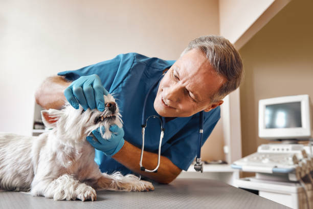 Best Emergency Broken Tooth Repair in West Wyoming, PA